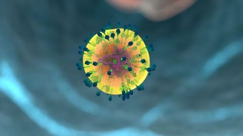 How Do Killer Immune Cells Protect Themselves From Self Harm?