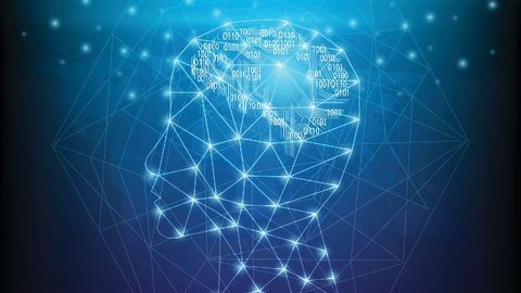 Using Machine Learning To Reveal How the Brain Encodes Memories