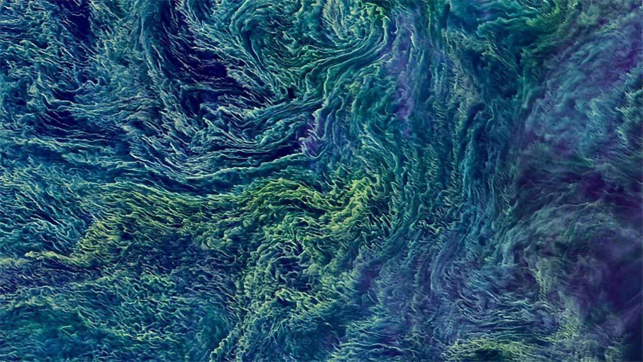 Bacterial Bloom