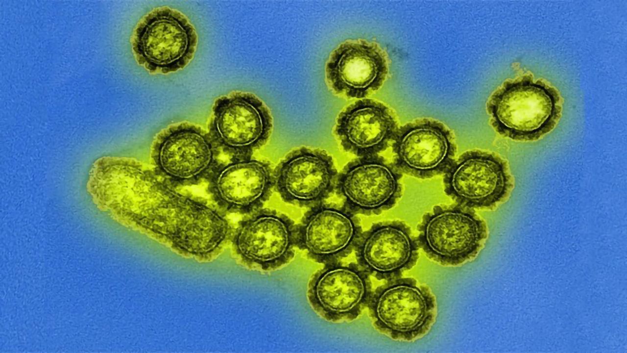 Influenza Particles