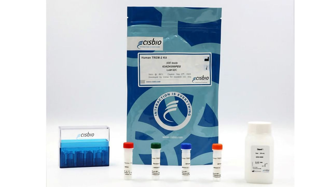 Assay for Rapid Detection of TREM2