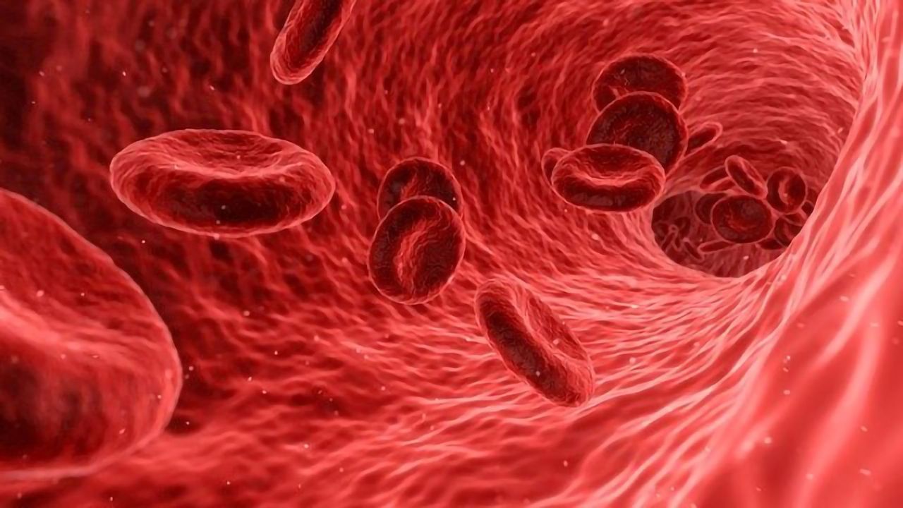 Further Investment in Developing Next-generation Anticoagulants