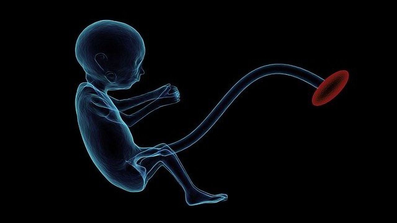 Research Finds Environmental and Dietary Toxins Affect Placentas