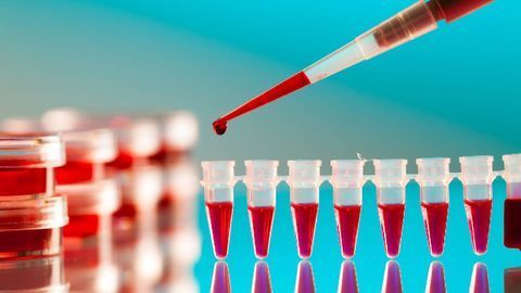 Advances in PCR Diagnostics for Cancer and Medical Mycology