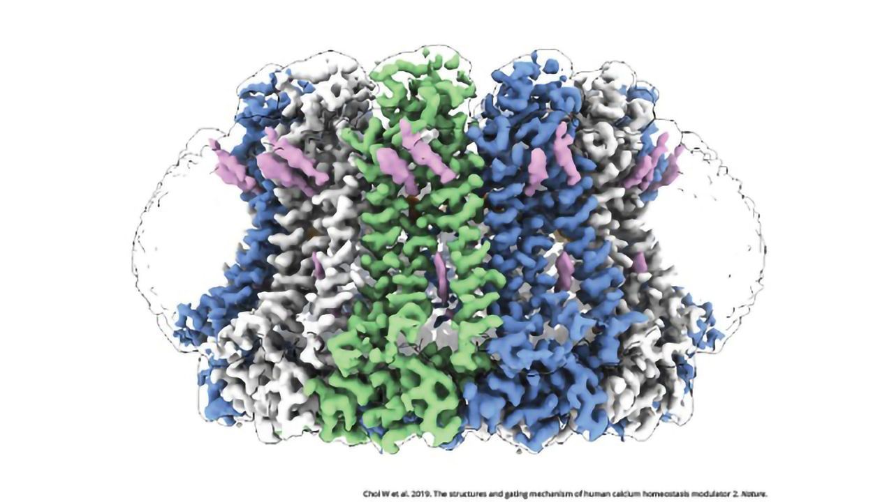 Taste Proteins Could Point Way to Alzheimer's Drugs
