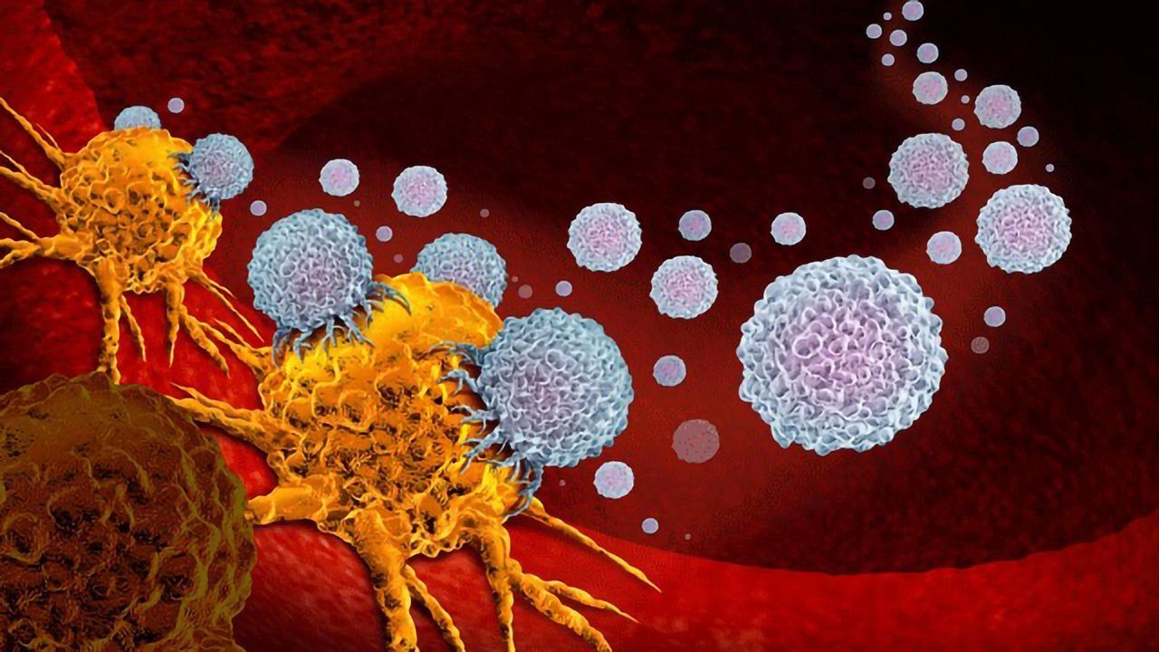 Future Cancer Immunotherapy Treatments Could Be Administered by a Pill