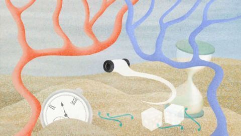 A New Study Reveals How a Decision Makes Its Way Through The Brain