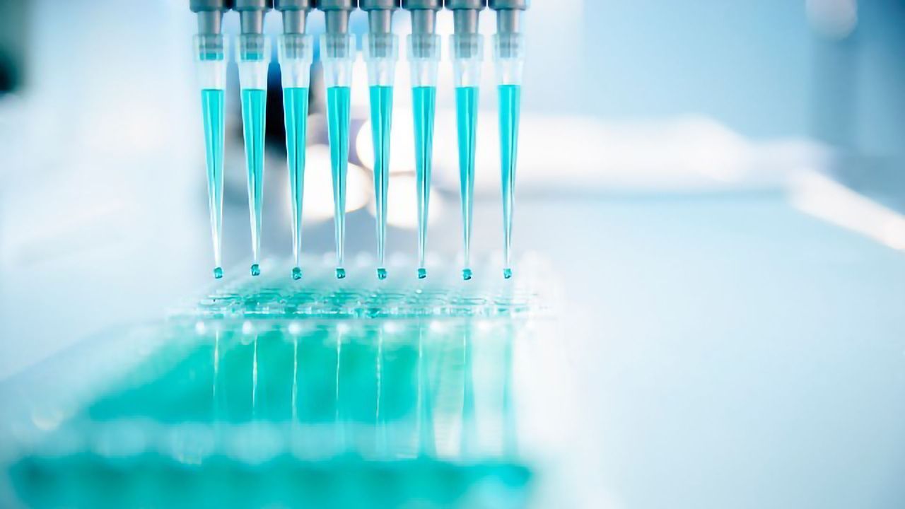 Success in Global Challenge To Find Novel Antimalarial Compounds