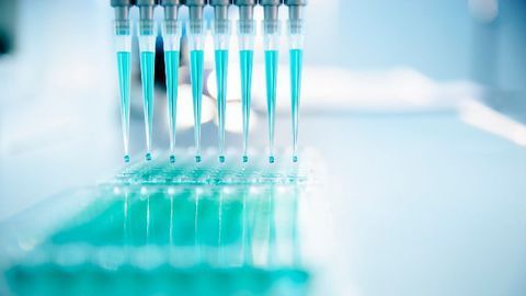 Success in Global Challenge To Find Novel Antimalarial Compounds