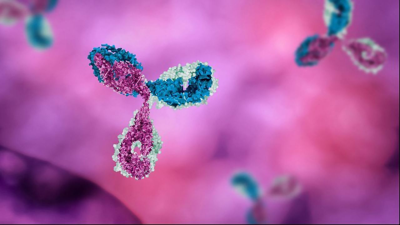 Engineering Recombinant Antibodies into New Formats