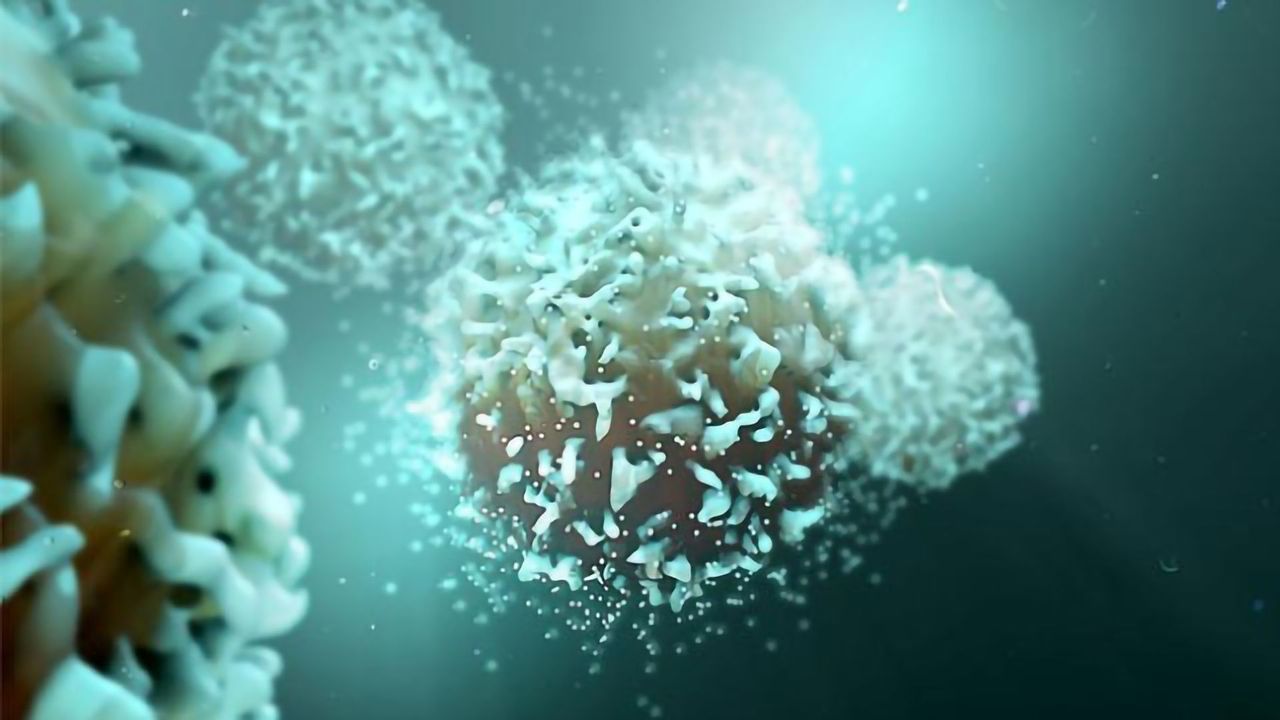 Detecting Potential Anticancer Compounds That Reawaken T Cells
