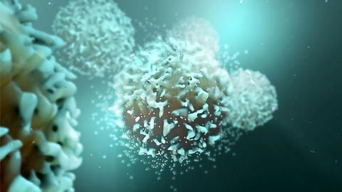 Detecting Potential Anticancer Compounds That Reawaken T Cells