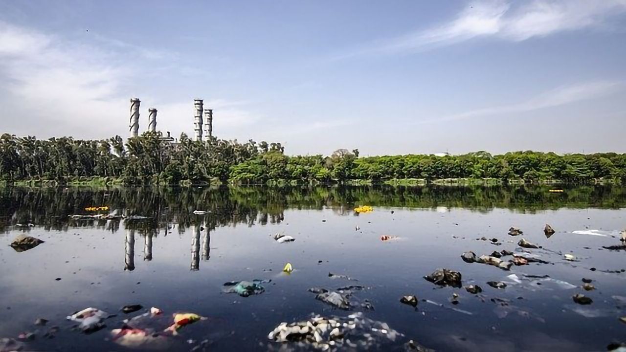 Urgent Improvements To Reduce Pharmaceutical Pollution Needed