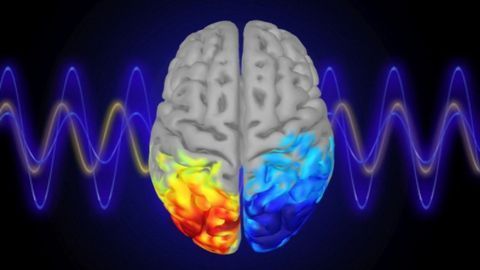 Teaching People To Control Their Brainwaves Can Boost Their Attention, Too