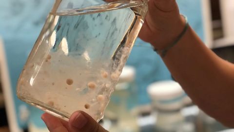 Microplastics a Million Times More Abundant in Oceans Than Previously Thought