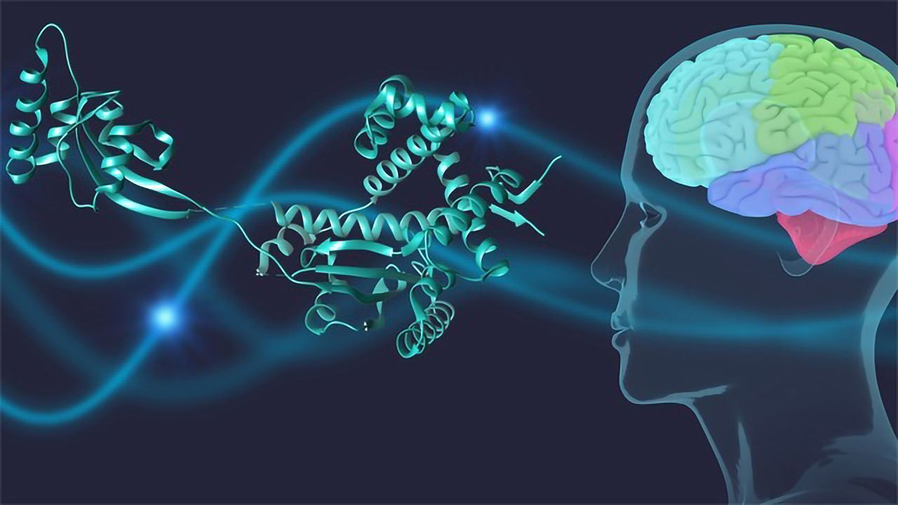 Molecular "Bodyguards" Keep Out Parkinson's