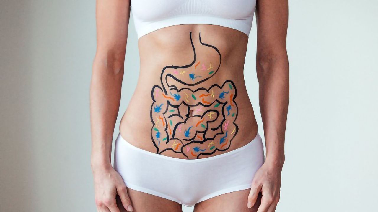 Mouse Study Shows That Gut Proteins Can Drive MS-like Inflammation
