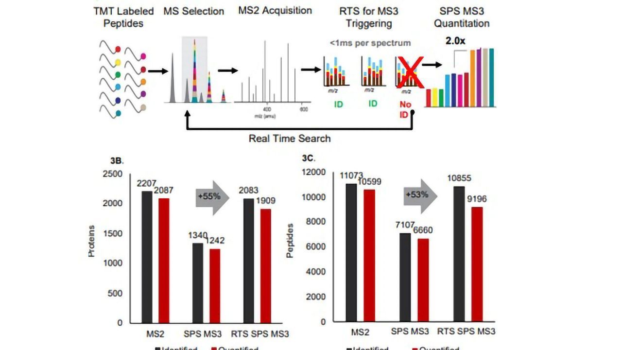 Improve Multiplexed Proteome Coverage and Quantification Accuracy With Real Time Search (RTS) Orbitrap LC-MS