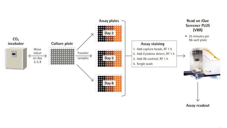 An Optimized, Multiplexed Assay for Screening Ex Vivo Conditions which Increases Memory T Cell Frequency content piece image