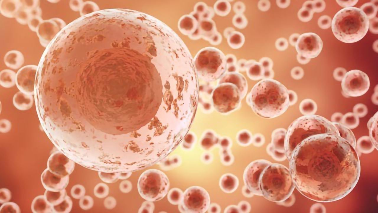 Revealing How Individual Cancer Cells React to Drugs
