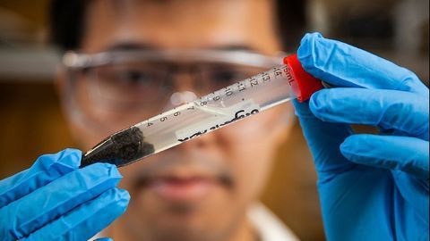 Problems With Heavy Metals in Sewage? Pop It in the Microwave!
