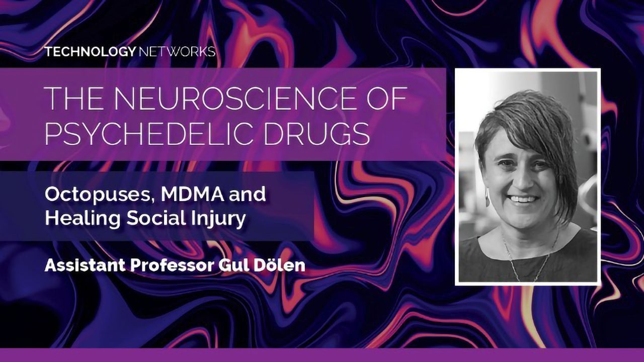 The Neuroscience of Psychedelic Drugs: Octopuses, MDMA and Healing Social Injury