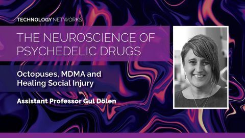 The Neuroscience of Psychedelic Drugs: Octopuses, MDMA and Healing Social Injury