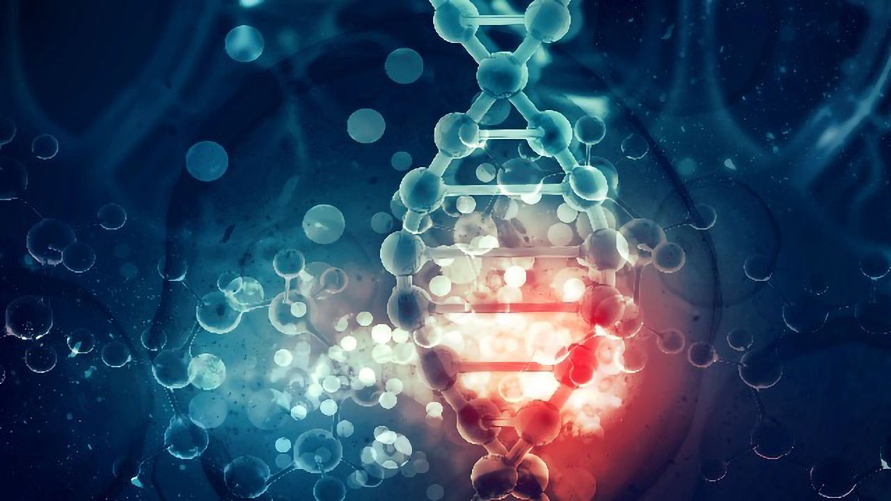 Exploring the Building Blocks of Life: Allosteric Vs Torpedo Model