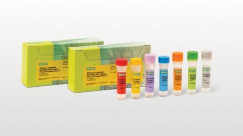 SEQuoia Complete Stranded RNA Library Prep Kit