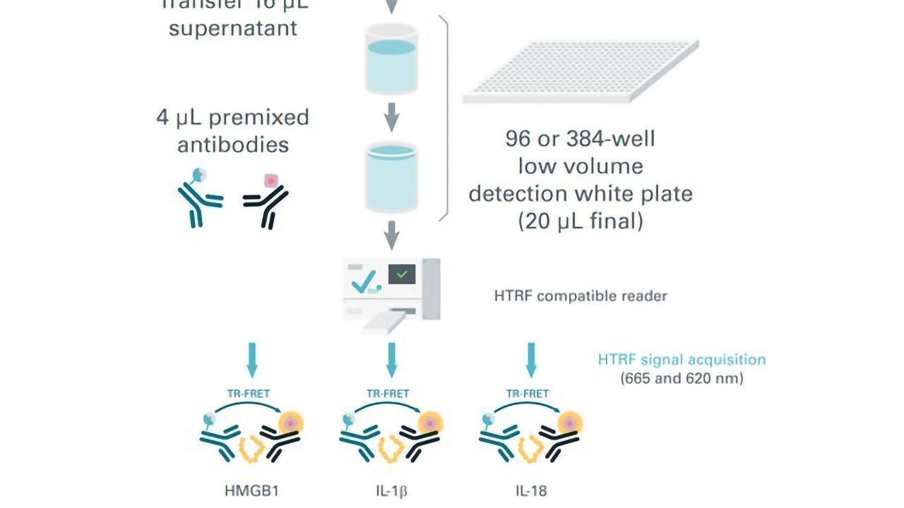HMGB1, IL-1β and IL-18 Assays Discriminate Between Pyroptosis and Necroptosis