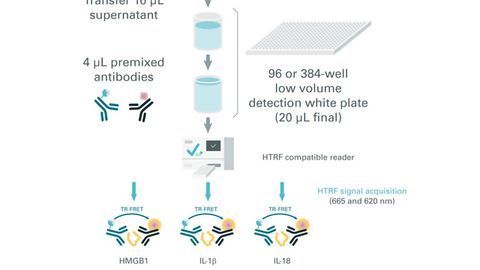 HMGB1, IL-1β and IL-18 Assays Discriminate Between Pyroptosis and Necroptosis