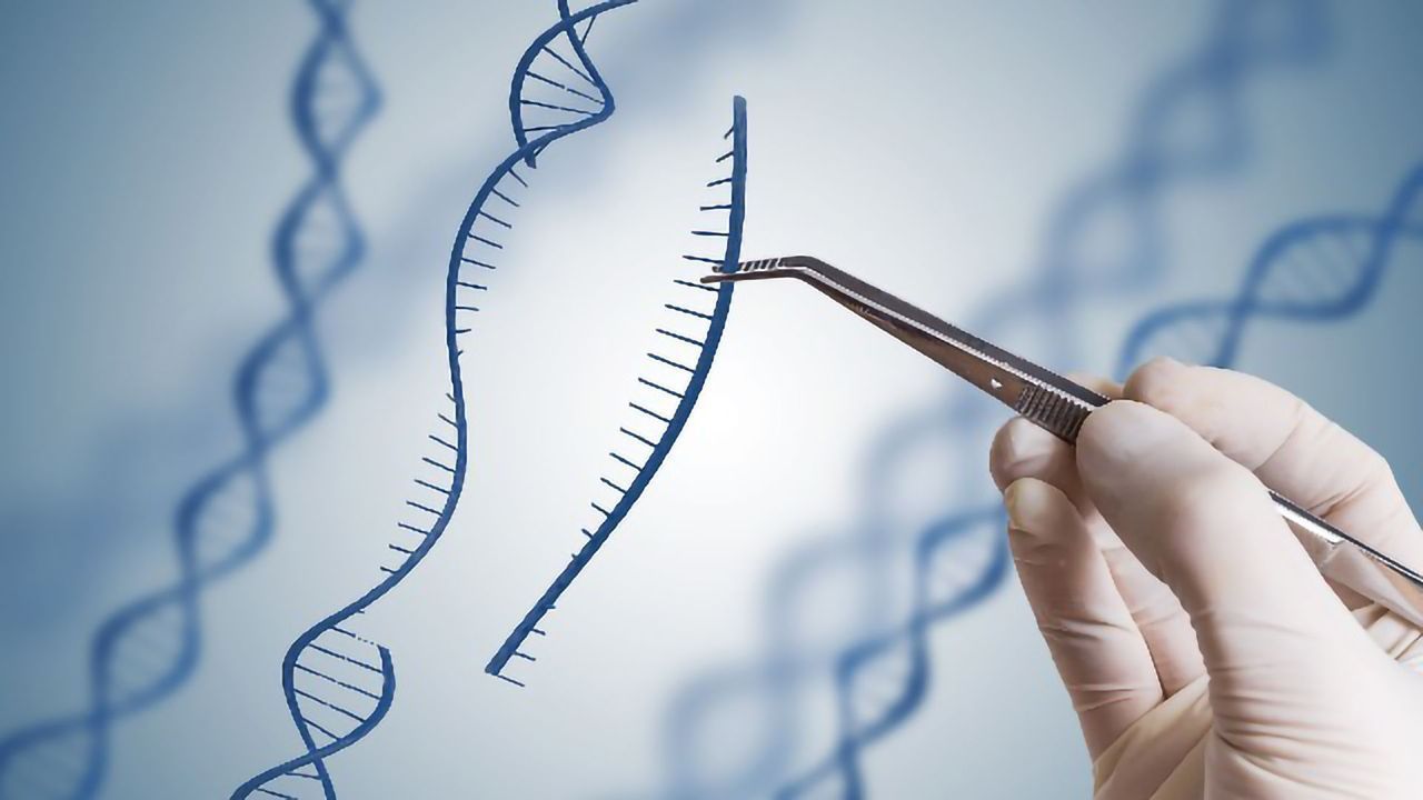 Streamlining CRISPR With Predesigned Synthetic sgRNAs