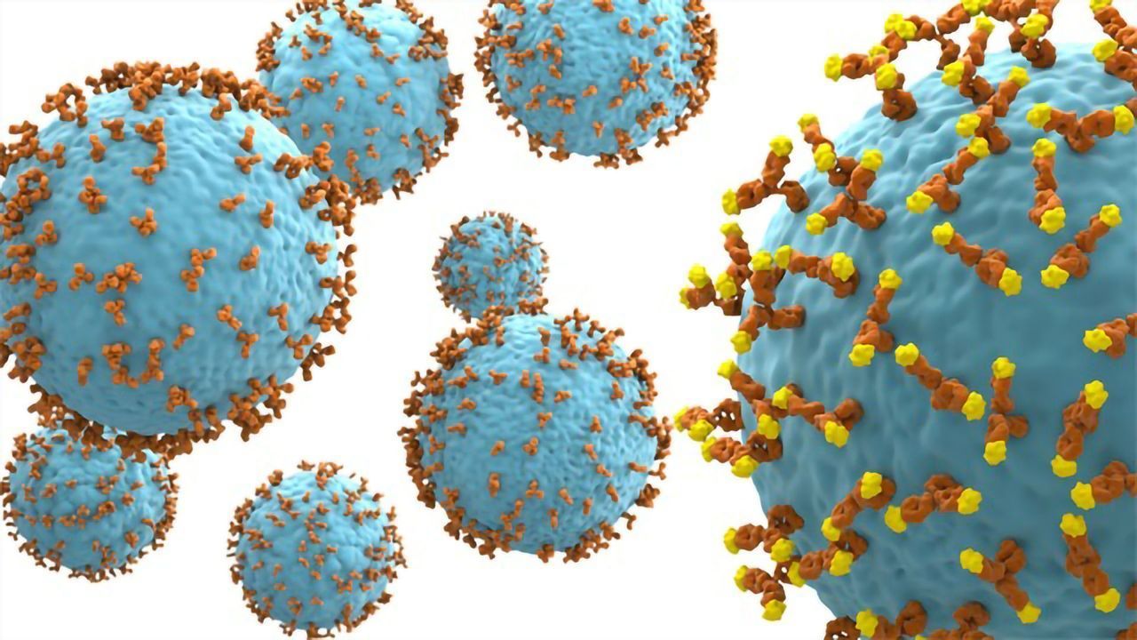 Antibody Enters Clinical Trial for Treatment of B Cell Acute Lymphoblastic Leukemia