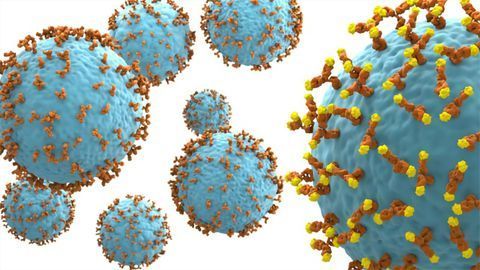 Antibody Enters Clinical Trial for Treatment of B Cell Acute Lymphoblastic Leukemia