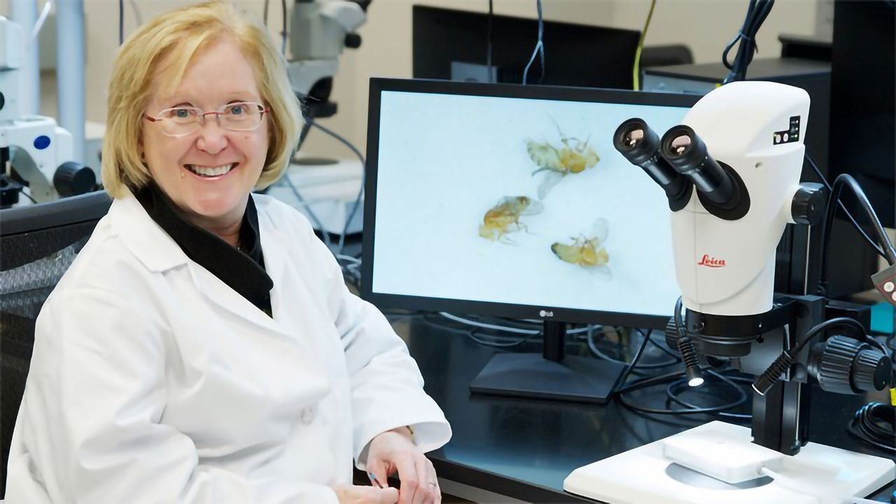 Geneticists Identify Hundreds of Small Metabolites That Are Potential Disease Indicators
