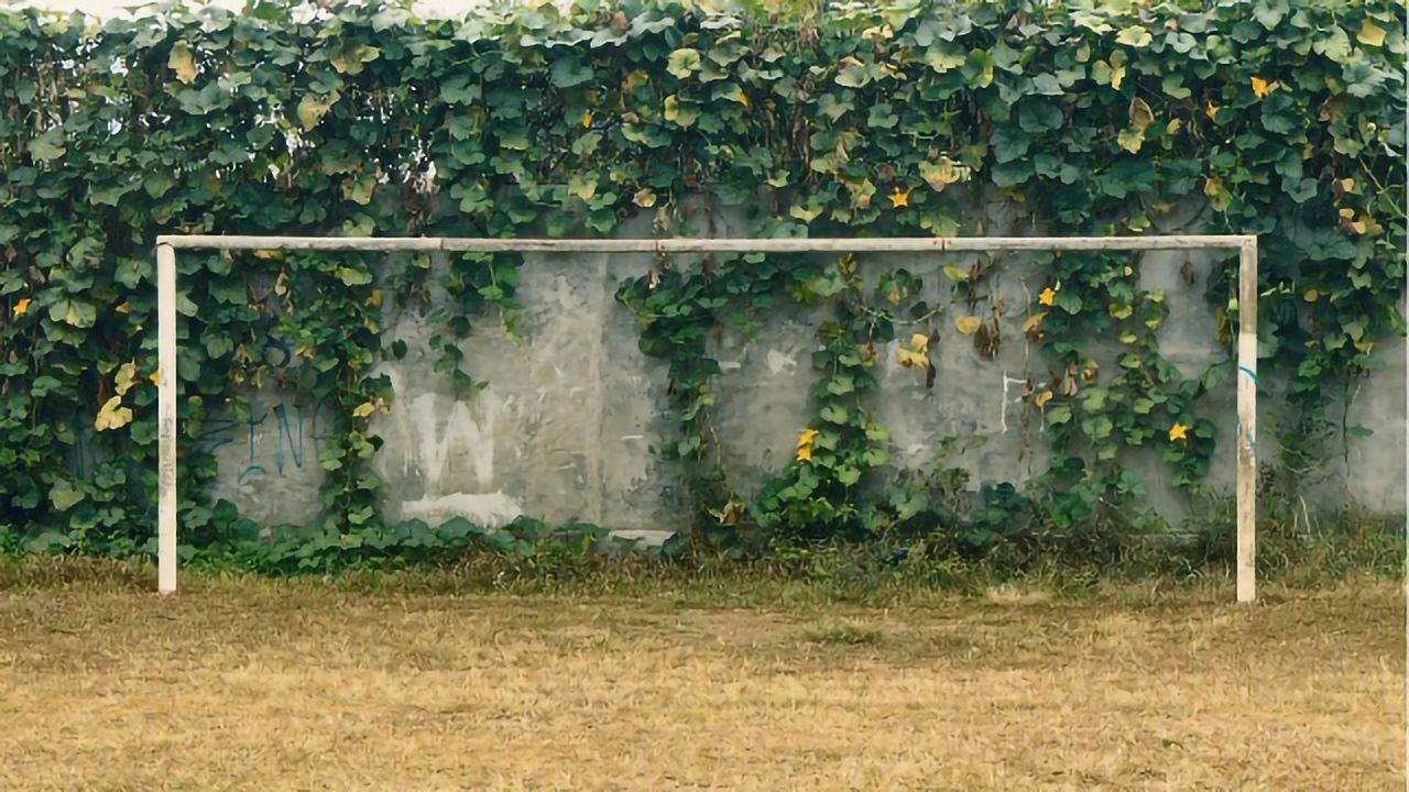 How Would a Monkey Take a Penalty Kick? The Answer at Last