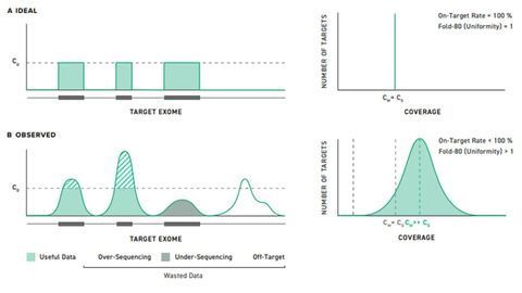The Importance of Coverage Uniformity Over On-target Rate for Efficient Targeted NGS