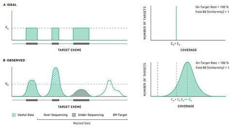 覆盖均匀性对目标率的覆盖率的重要性为有效的目标NGS