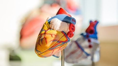 Lighting Up Cardiovascular Problems Using Nanoparticles