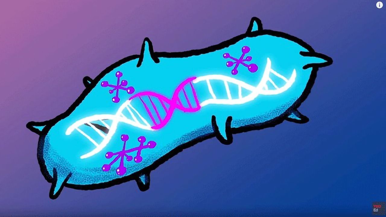 Hacking Bacteria To Fight Disease