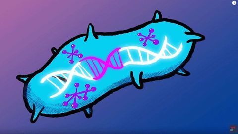 Hacking Bacteria To Fight Disease