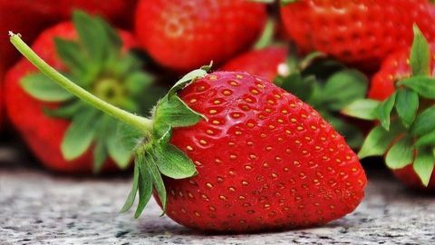 Strawberry "Keepsake" Could Last for Longer