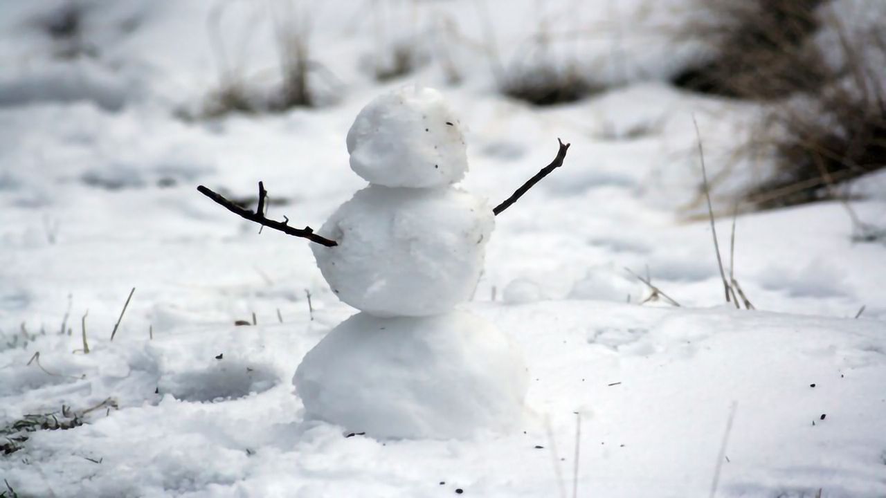Mitosis in a Winter Wonderland