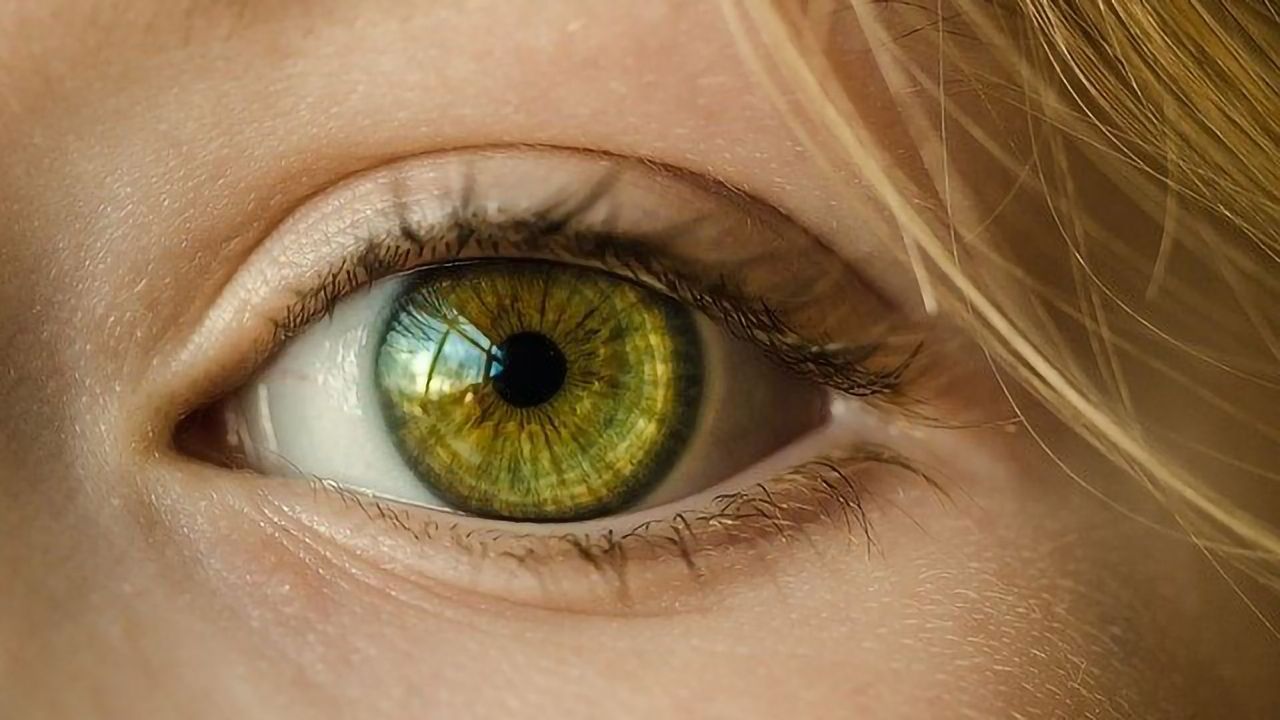 The Role of Genetics in Sight and Preventing Blinding Eye Diseases