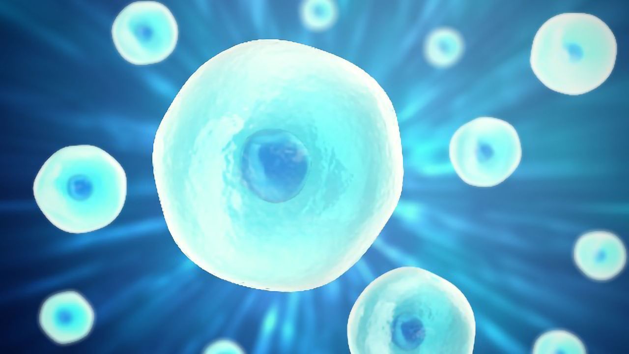 Top 10 Cell Science News Stories of 2019