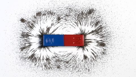 Mind Over Magnet: Cryptochrome Proteins Enable Magnetic Brain Repair