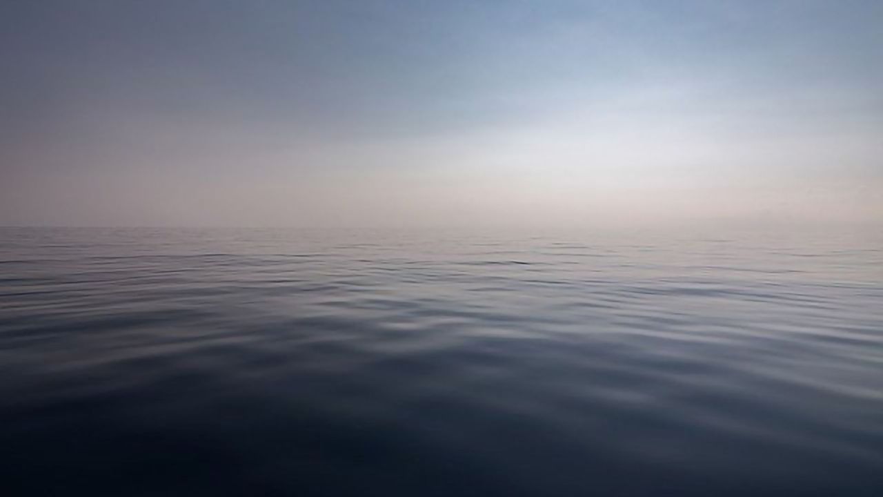 Could the True Extent of Ocean "Dead Zones" Be Masked by Dark Carbon?