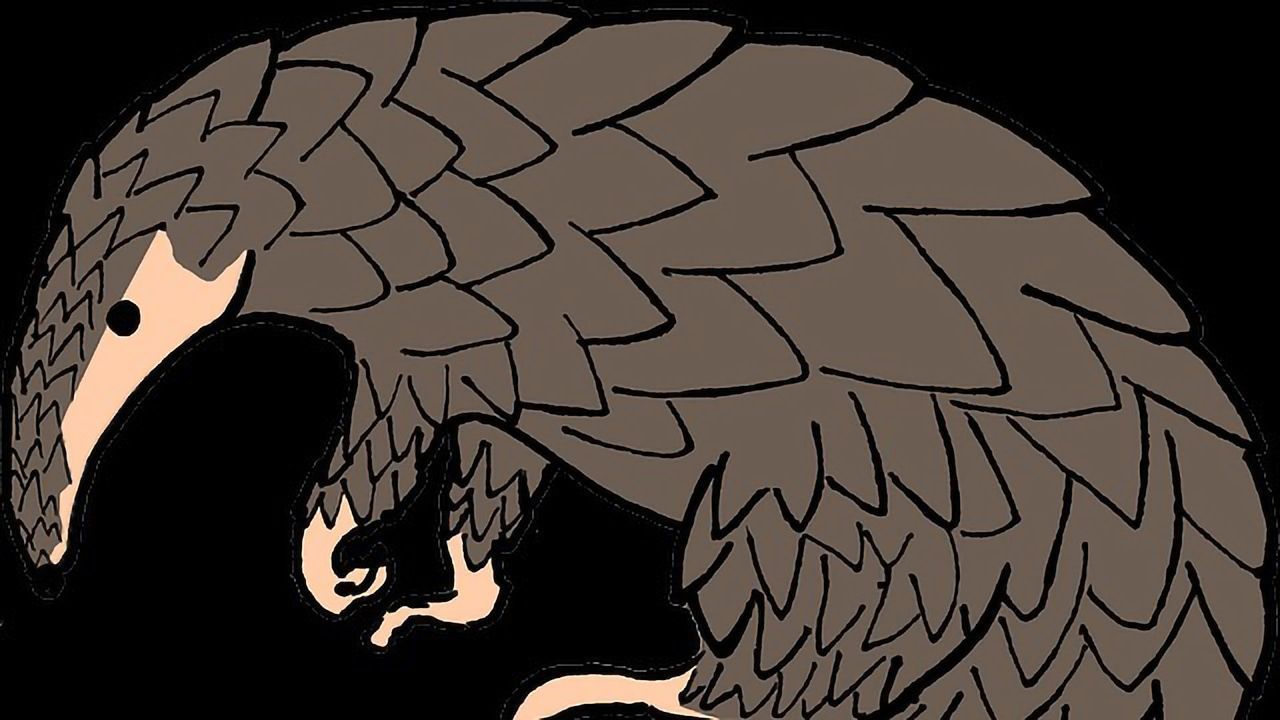 Why Do Captive Diets Make Pangolins Ill?