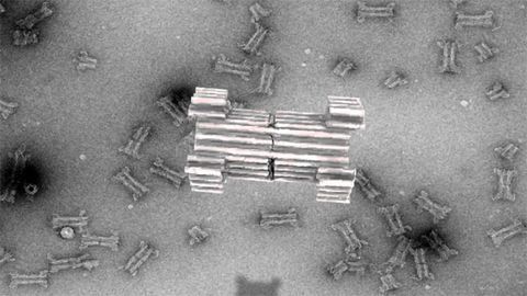 A Large Synthetic Nanopore Is Created From DNA