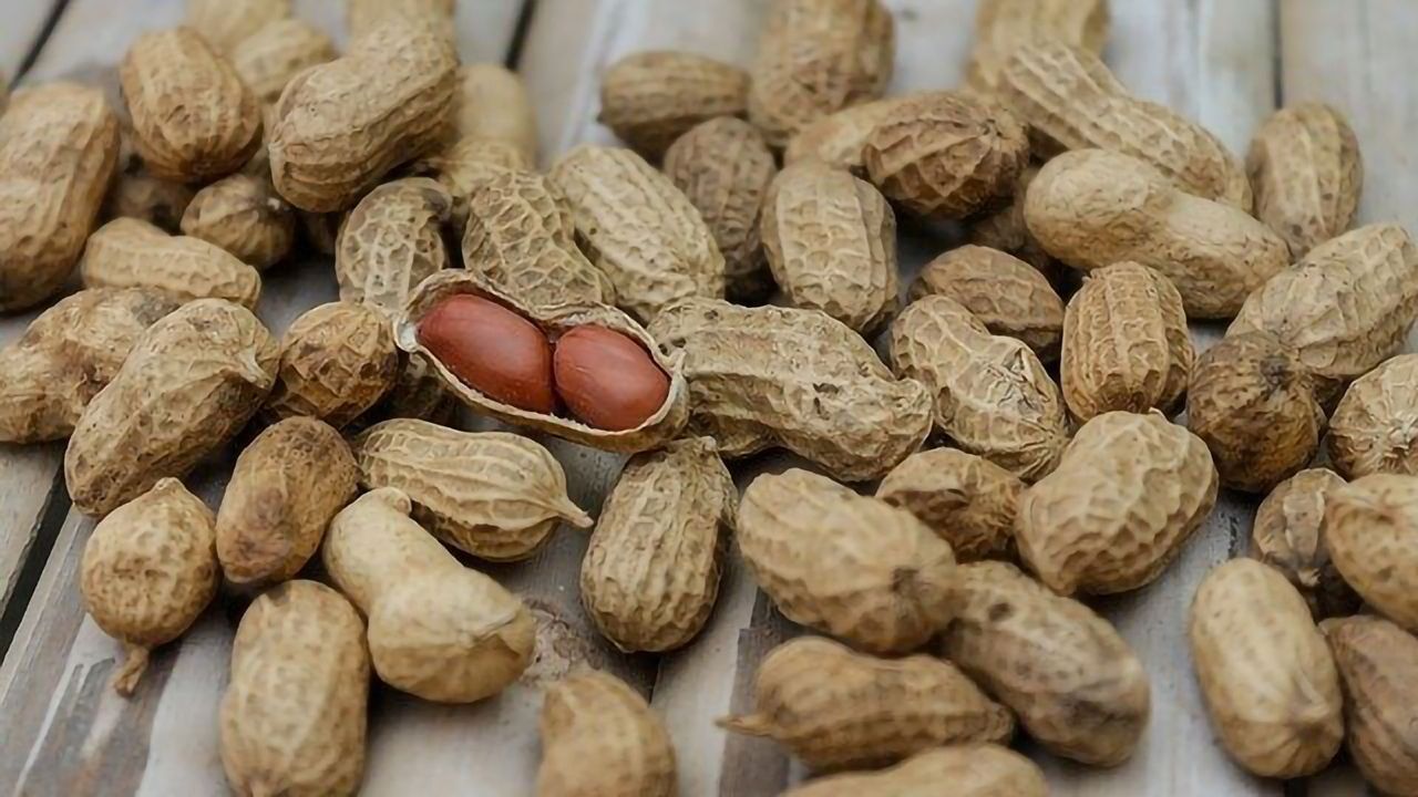 Getting to the Root of Peanut Allergy Severity